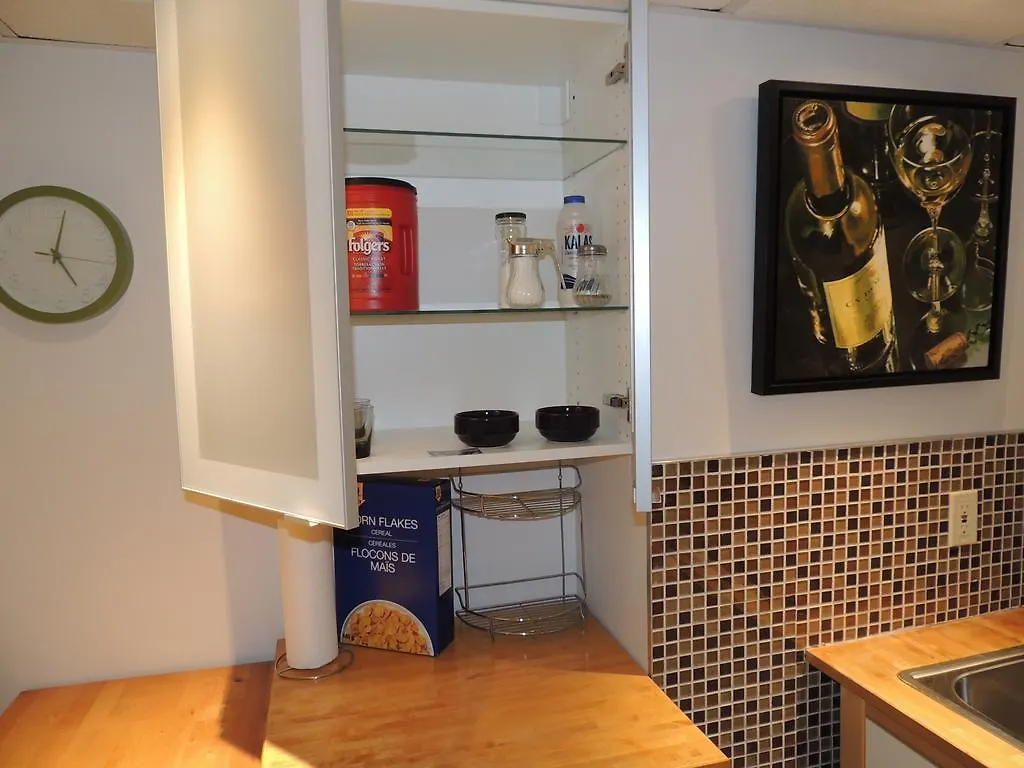 Toronto Vacation Home Rentals - Executive Underground One-Bedroom Apartment